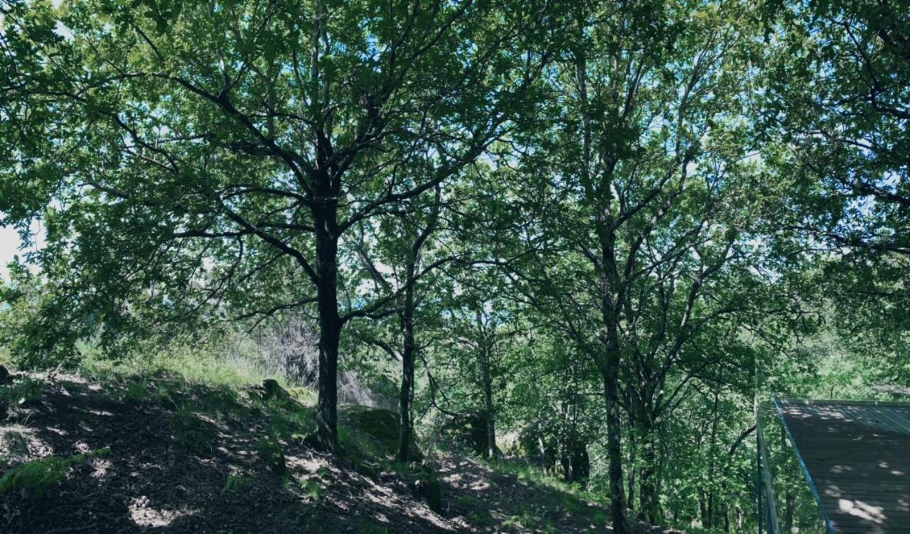 Oak Nature วีเอย์รา ดู มีโญ ภายนอก รูปภาพ