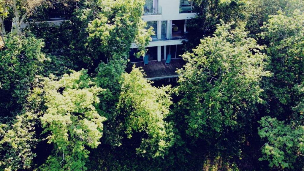 Oak Nature วีเอย์รา ดู มีโญ ภายนอก รูปภาพ